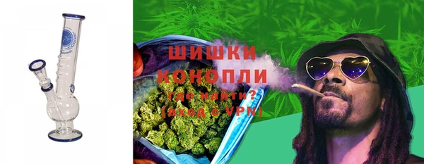 бошки Алексин
