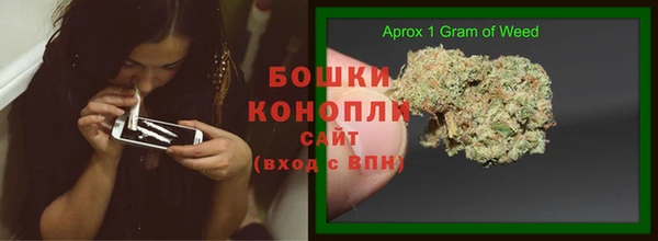 бошки Алексин