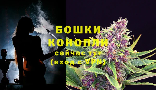 бошки Алексин